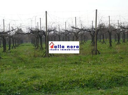 anteprima foto